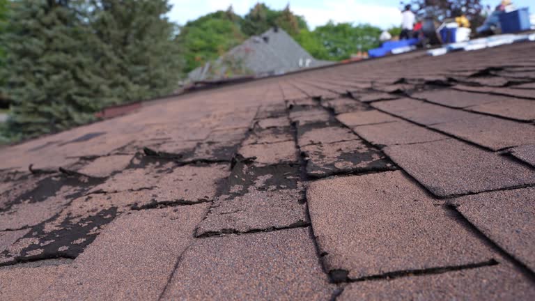  Lakemont, PA Roofing Service Pros